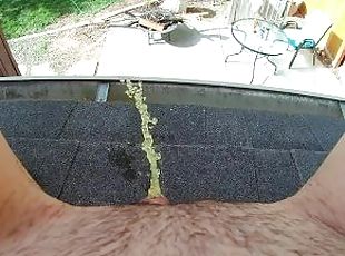 Squirt of Pee on a Roof
