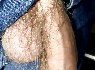 Veiny Cock hangs out of Jeans Close Up