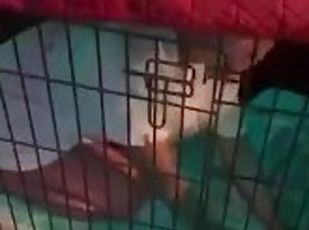 Public Japanese slut locked up in cage my pet