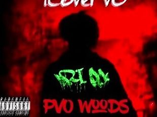 ILovePvO - PvO Woods 1