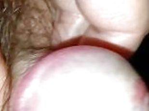 Small Shrimp Cumming.