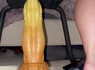 New bad dragon toy xl