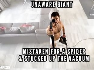 Unaware giant - trapped on spiders web and sucked up the vacuum