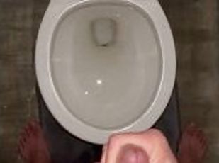 Toilet cum dump